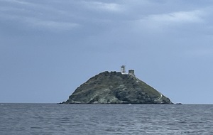 Mardi DV