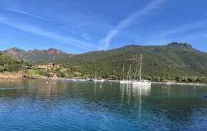 Mardi DV