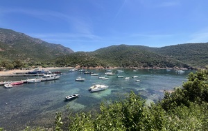 Mardi DV